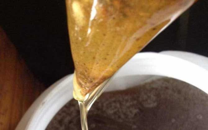 中國四大名蜜是哪些? 荔枝蜜