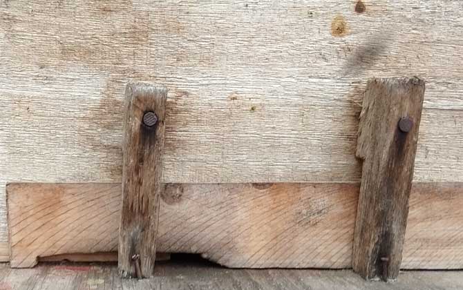 中蜂雙王群高效養(yǎng)殖技術(shù) 中蜂雙王群