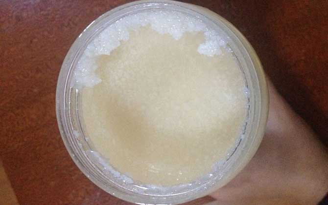 蜂蜜酸奶面膜怎么做?實(shí)際上很簡單,但用法不正確反而損害肌膚! 蜂蜜