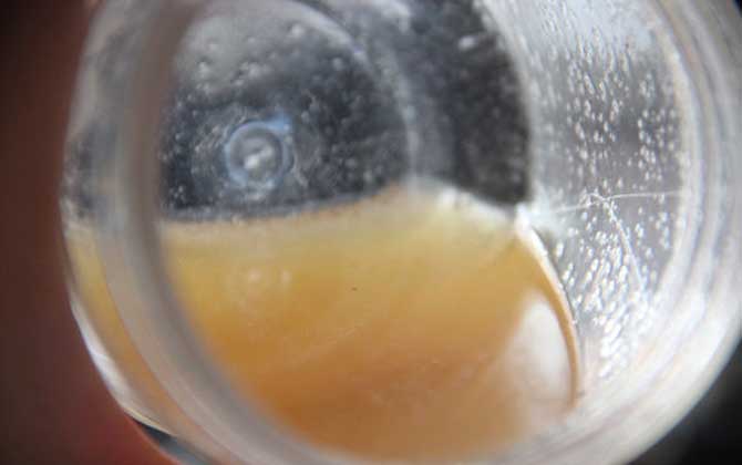 喝蜂蜜水會(huì)胖嗎?關(guān)鍵看飲用量,過量喝會(huì)長(zhǎng)胖,適量喝反而減肥! 蜂蜜