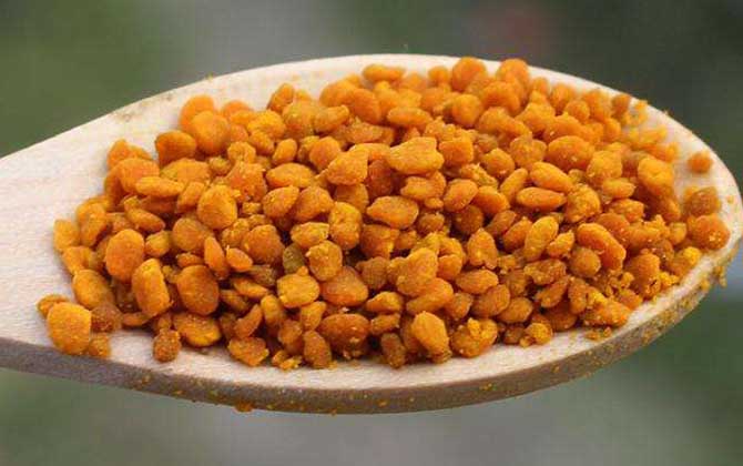 茶花粉的功效與作用有哪些?經常吃些茶花粉,這6個好處跑不了! 茶花粉