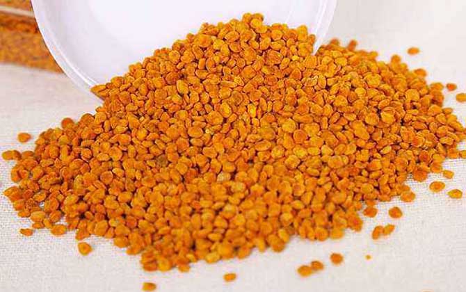 茶花粉的功效與作用有哪些?經常吃些茶花粉,這6個好處跑不了! 茶花粉