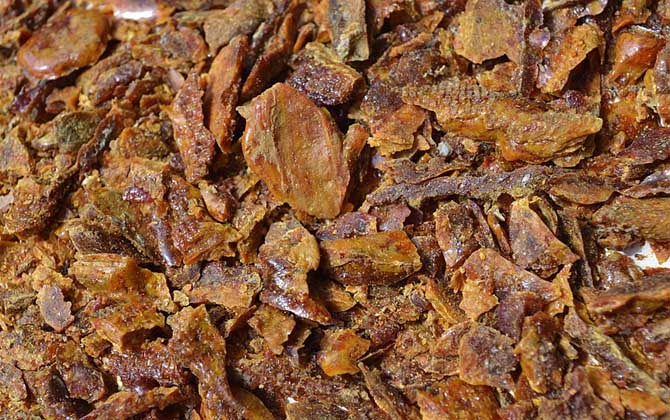 蜂膠哪4類(lèi)人不能吃?除了要提防過(guò)敏,孕婦和幼兒也不能吃蜂膠! 蜂膠