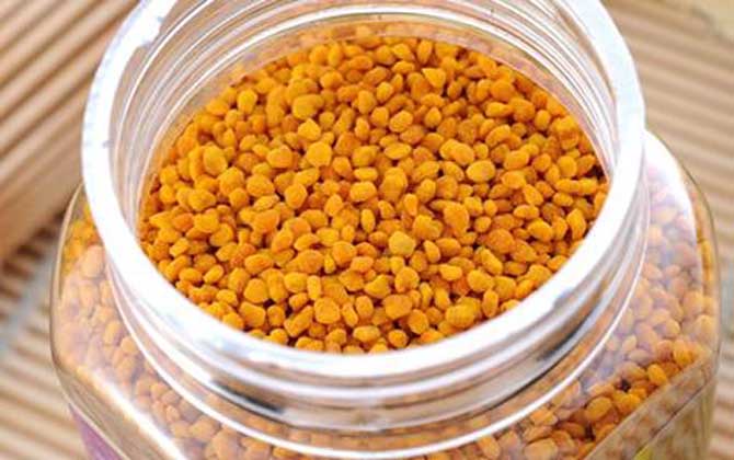 蜂花粉的禁忌有哪些?除了不能過量食用,還要提防發生過敏反應! 蜂花粉