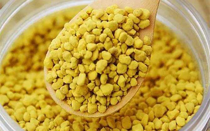 蜂花粉的禁忌有哪些?除了不能過量食用,還要提防發生過敏反應! 蜂花粉