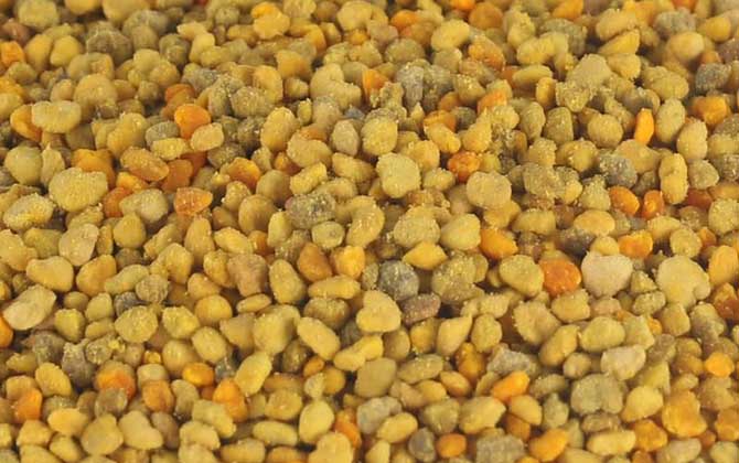 長期吃花粉會導致乳腺結(jié)節(jié)嗎?事實上花粉對乳腺結(jié)節(jié)有預防作用! 花粉