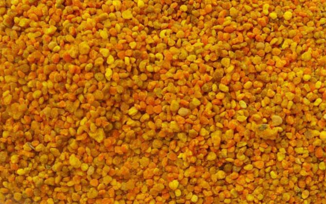 長期吃花粉會導致乳腺結(jié)節(jié)嗎?事實上花粉對乳腺結(jié)節(jié)有預防作用! 花粉