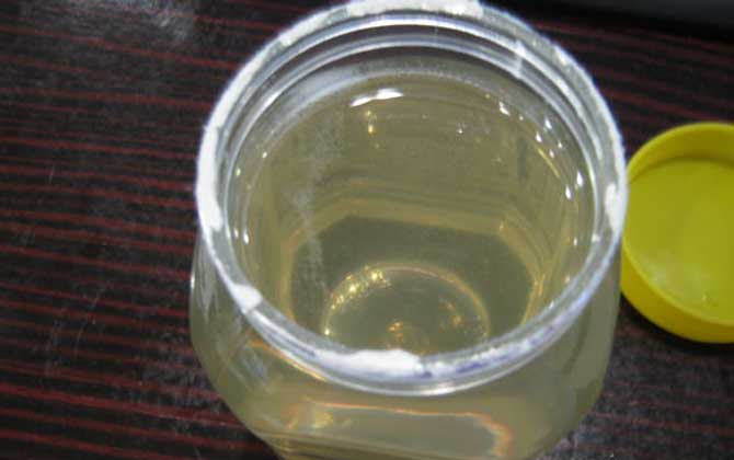 蜂蜜水怎么沖才正確?一定要控制好溫度,不能用60℃以上的水沖! 蜂蜜