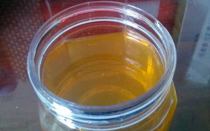 牛奶加蜂蜜的禁忌有哪些?不建議空腹飲用,更不能長期過量飲用! 蜂蜜