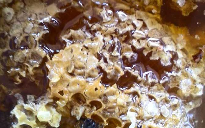 女人吃蜂巢有什么好處?不但能增強抗病力,還有美容養(yǎng)顏效果! 蜂巢