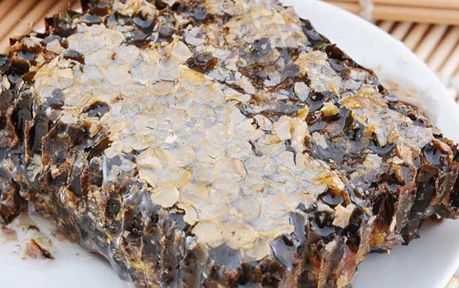 老蜂巢治療鼻炎怎么吃?小火熬成蜂巢水,內(nèi)服和外用均有效! 老蜂巢