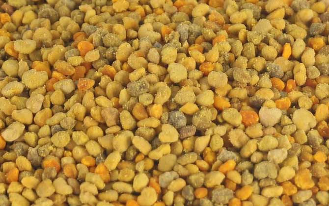 女人吃花粉的好處和壞處,適量吃對健康有益,過量吃反而有害! 花粉