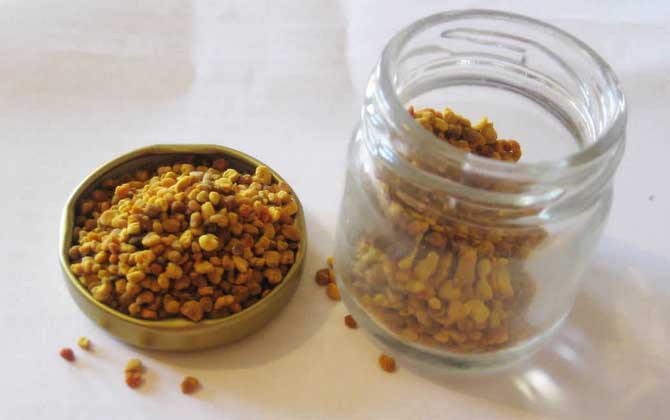 女人吃花粉的好處和壞處,適量吃對健康有益,過量吃反而有害! 花粉