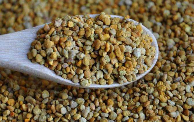 女人長期吃花粉好嗎?對健康大有好處,但絕對不能過量食用! 花粉