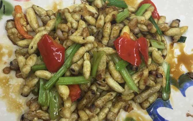 蜂蛹吃了有什么好處?不但能增強體質,還有美容養(yǎng)顏的效果! 蜂蛹