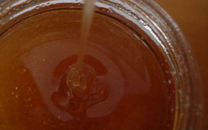 為什么真蜂蜜賣不過假蜂蜜? 蜂蜜