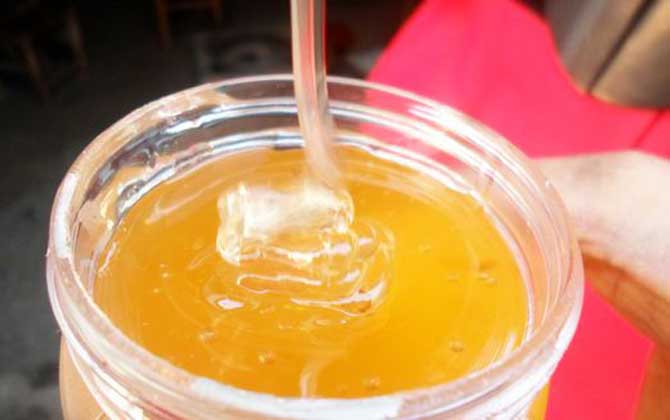 葵花蜜價格多少錢一斤? 葵花蜜