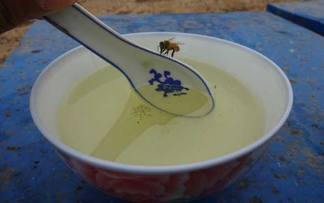 蜂蜜酒的功效與作用及簡單做法 蜂蜜酒