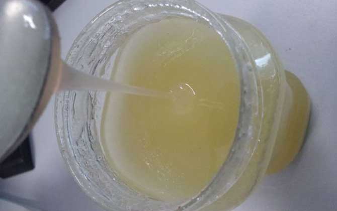 三七粉加蜂蜜的功效及正確喝法 蜂蜜