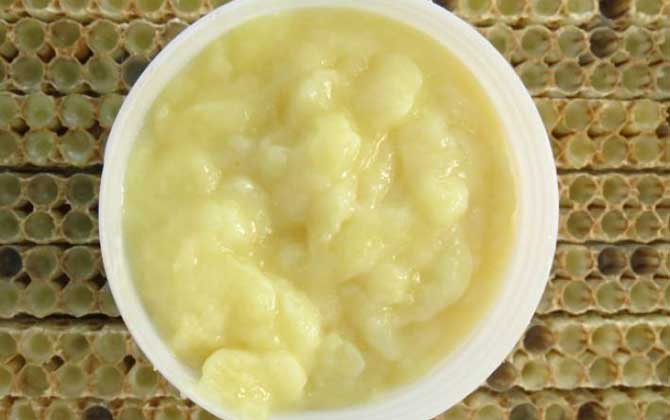 蜂王漿有哪些副作用與禁忌? 蜂王漿