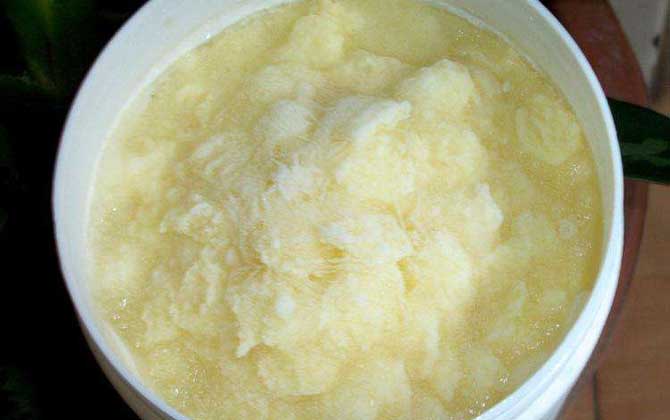 蜂王漿可以長(zhǎng)期吃嗎? 蜂王漿