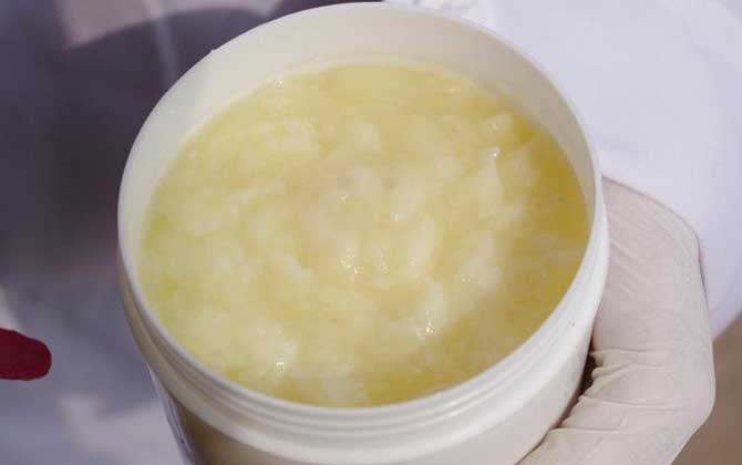 哪些人不適合吃蜂王漿? 蜂王漿