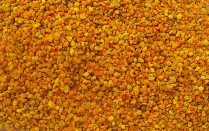 蜂花粉可以去黃褐斑嗎? 蜂花粉