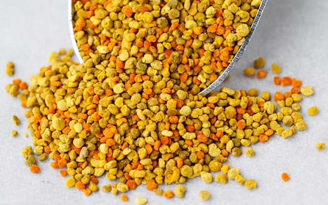 蜂花粉有哪些副作用與禁忌? 蜂花粉