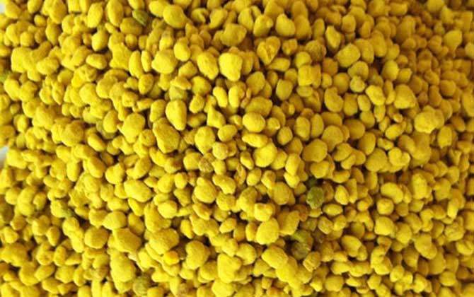 女人吃花粉的好處和壞處 花粉