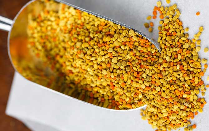 什么人群不適合吃花粉? 花粉