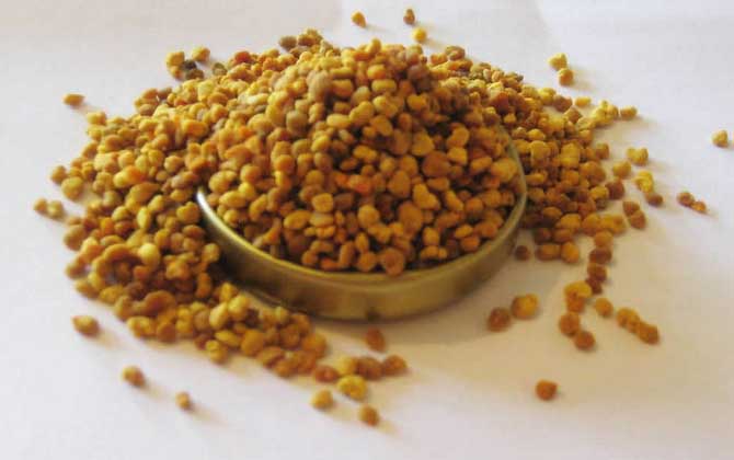 蜂花粉的功效與作用及禁忌人群 蜂花粉