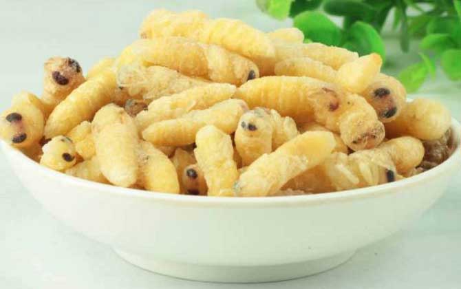 雄蜂蛹怎么吃最簡單? 蜂蛹蒸蛋