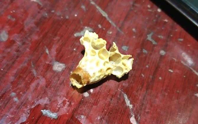 急造王臺一般幾天封蓋? 急造王臺