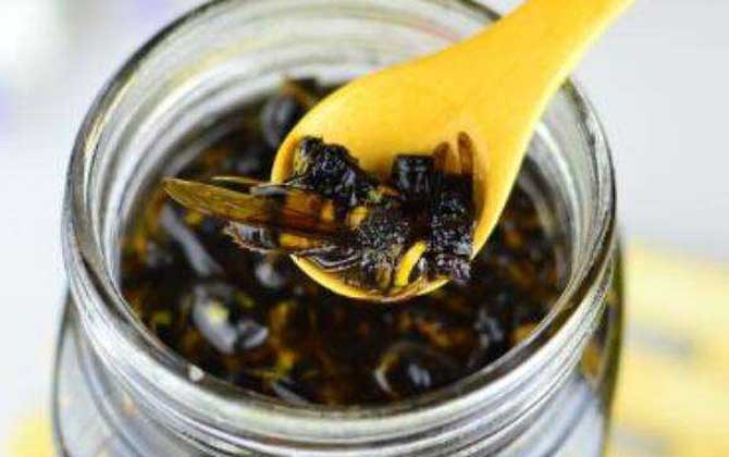 虎頭蜂酒的功效與作用及制作方法 虎頭蜂酒