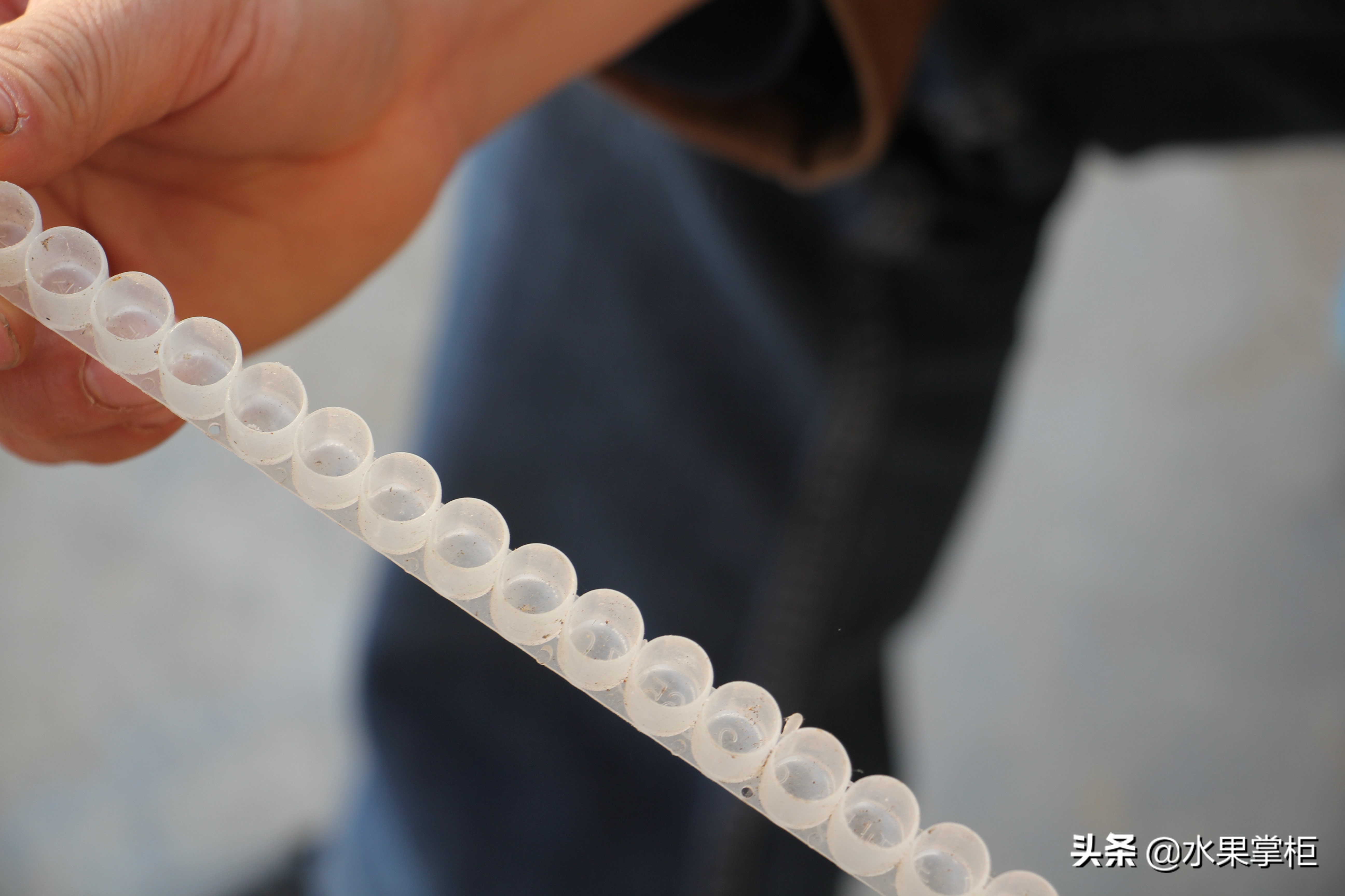 漲知識：農家養土蜂蜜的工具，你認識幾個？留言回復，連載哦