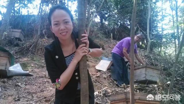 養(yǎng)蜂人是怎么養(yǎng)蜂的(如何才能學會養(yǎng)蜂?)