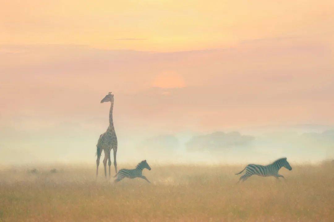 哪一程的旅行滿足了你對「去遠方」的美好幻想