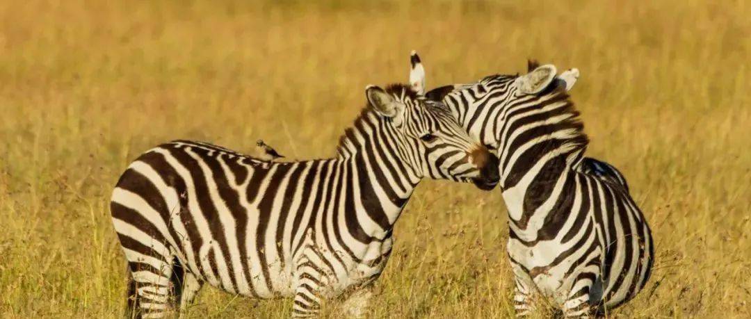 哪一程的旅行滿足了你對「去遠方」的美好幻想