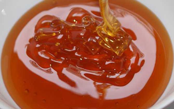 五倍子蜜的蜜源植物（五倍子蜜的產(chǎn)地分布）