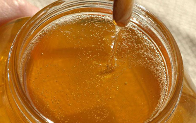 荔枝蜜花期多少天（荔枝蜜的產地分布）