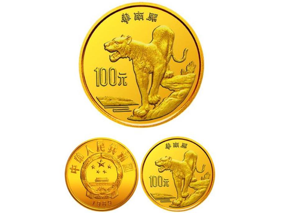 消失100多年！云南發(fā)現(xiàn)極危物種異葉苣苔，野生華南虎會出現(xiàn)嗎？