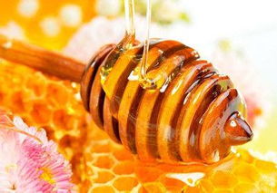 黨參蜂蜜適合什么人喝(黨參蜂蜜的功效與作用及適用人群) 黨參蜂蜜適合什么人喝(黨參蜂蜜的功效與作用及適用人群)