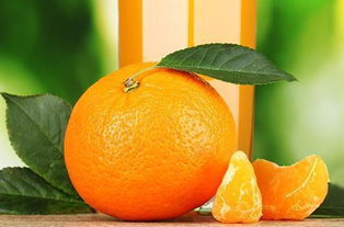 柑橘泌蜜的條件（柑橘蜜流蜜的條件）