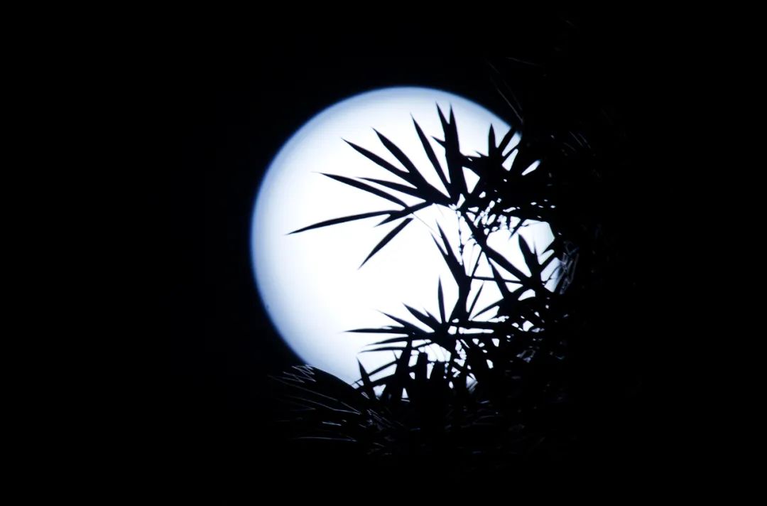 中秋的月亮沒看夠?高清美圖來了 沒看著中秋的月亮?高清美圖來了