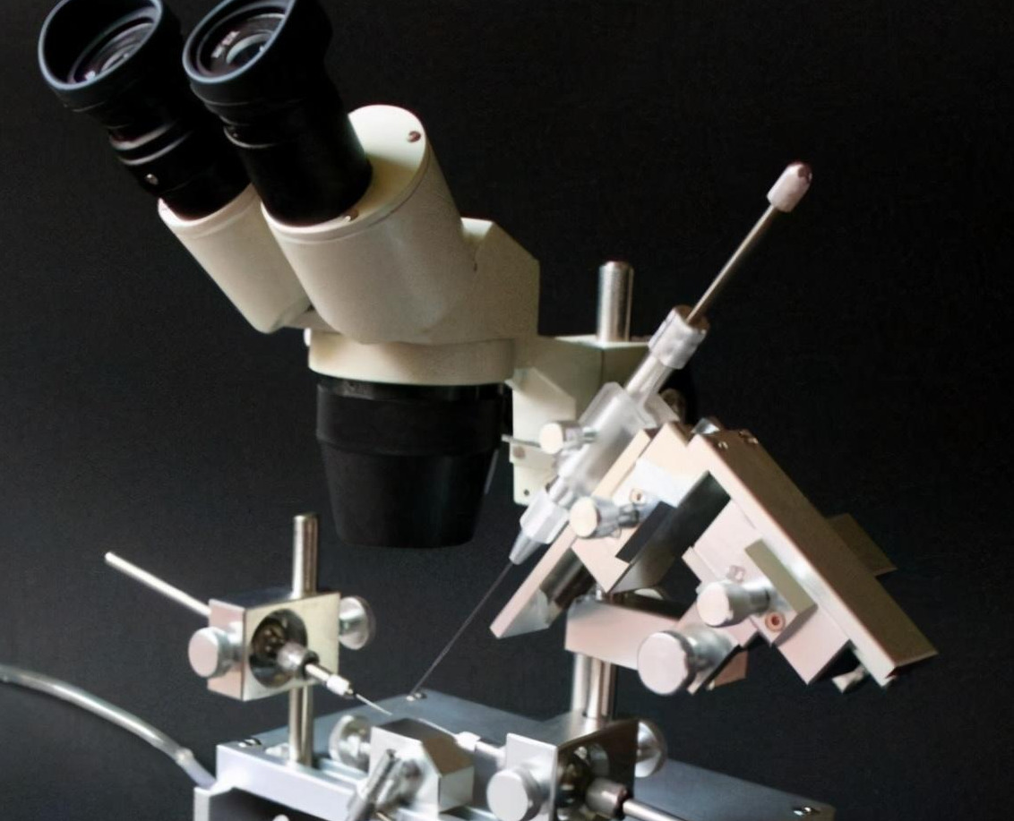 產(chǎn)雄蜂的王如何人工授精（蜂王人工授精技術(shù)視頻）