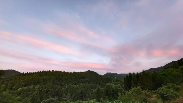 江西野蜂什么時(shí)候取蜜