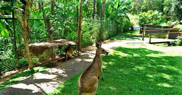 如何判斷蜜源地的優劣(蜜源地好壞的判斷標準) 如何判斷蜜源地的優劣(蜜源地好壞的判斷標準)