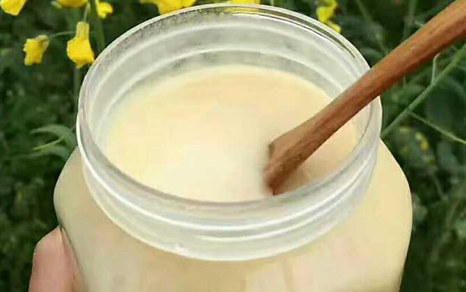 一百畝油菜花產(chǎn)多少蜜(油菜花蜜的特點) 一百畝油菜花產(chǎn)多少蜜(油菜花蜜的特點)