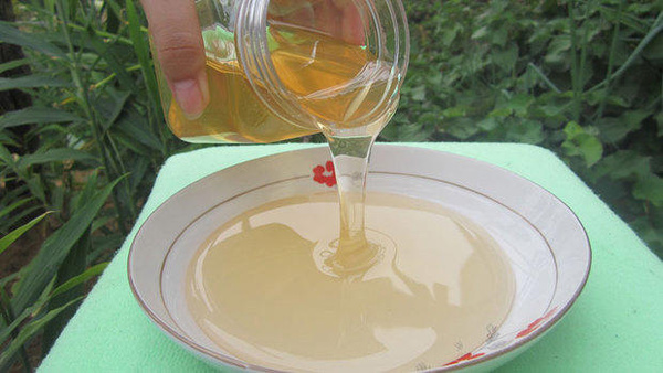 中國大虎頭蜂雄蜂和雌蜂的區別（中國大虎頭蜂怎么分公母）