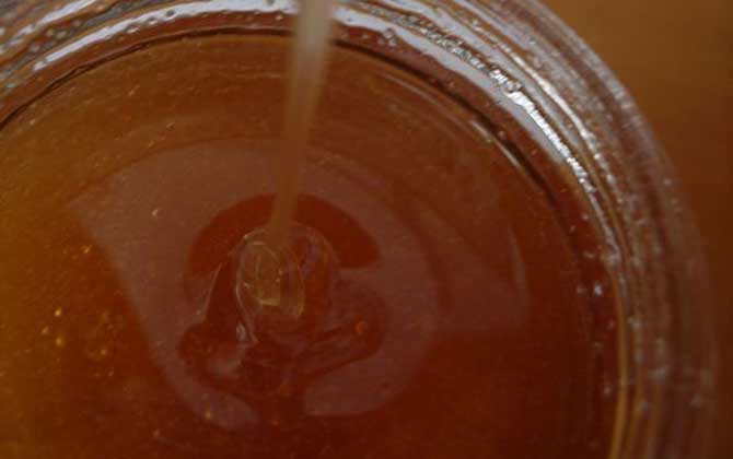 枸杞蜂蜜價格(枸杞蜂蜜的營養價值) 枸杞蜂蜜價格(枸杞蜂蜜的營養價值)